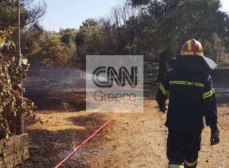 Σε ύφεση τα πύρινα μέτωπα σε Βαρνάβα και Ραφήνα