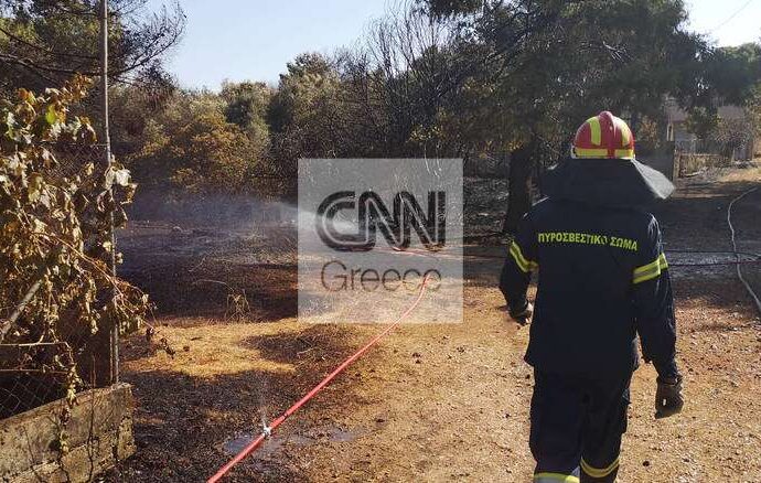 Σε ύφεση τα πύρινα μέτωπα σε Βαρνάβα και Ραφήνα