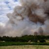 Φωτιά ΤΩΡΑ: Όλες οι δυνάμεις στην Τανάγρα – Μάχη να μη φτάσουν οι φλόγες στο δάσος των Δερβενοχωρίων