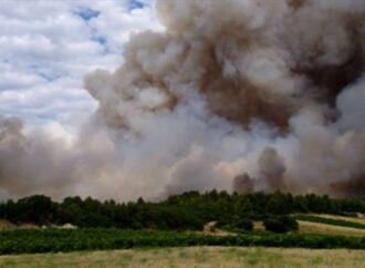 Φωτιά ΤΩΡΑ: Όλες οι δυνάμεις στην Τανάγρα – Μάχη να μη φτάσουν οι φλόγες στο δάσος των Δερβενοχωρίων