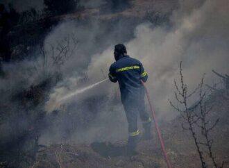 Χαλκιδική: Υπό μερικό έλεγχο πυρκαγιά σε δασική έκταση στην Αγ. Παρασκευή
