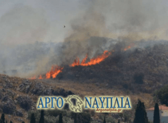 Φωτιά ΤΩΡΑ: Μεγάλη πυρκαγιά στο Ναύπλιο