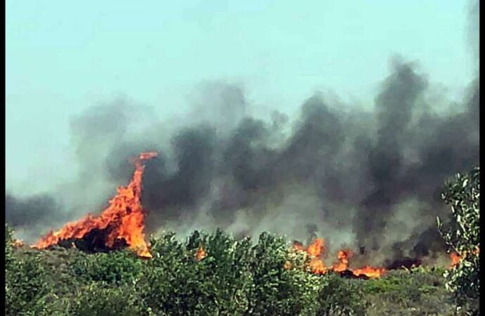 Μαίνεται η πυρκαγιά στην Ελαφόνησο: Εκκενώθηκαν κάμπινγκ, ξενοδοχεία και οικισμός