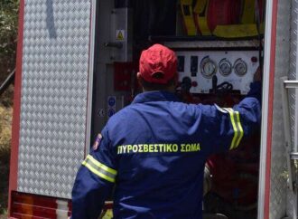 Φωτιά στη Θάσο: Ενισχύθηκαν οι δυνάμεις – Δεν απειλούνται κατοικημένες περιοχές