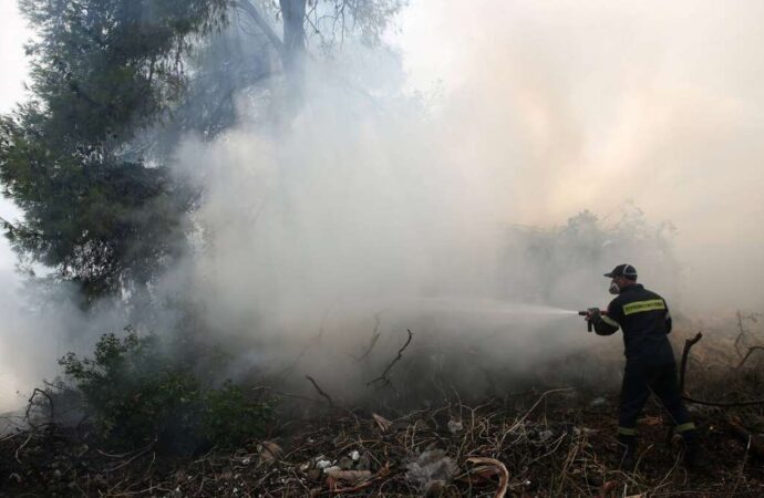 Φωτιά ΤΩΡΑ: Καίγεται περιοχή Natura και στην Κέρκυρα