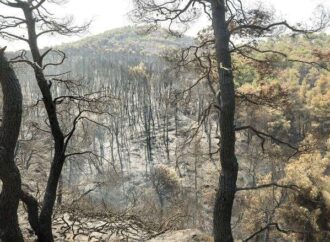 Φωτιά στην Εύβοια: Τι υποστηρίζει ο βασικός ύποπτος