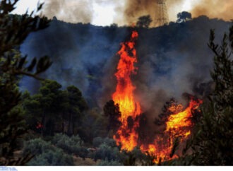 Φωτιά ΤΩΡΑ στις Πρέσπες