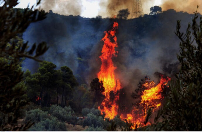 Φωτιά ΤΩΡΑ στις Πρέσπες