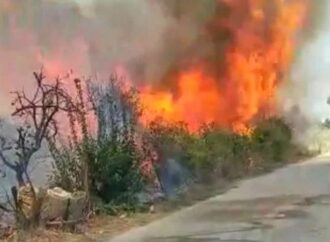 Φωτιά στη Νέα Κίο Αργολίδας