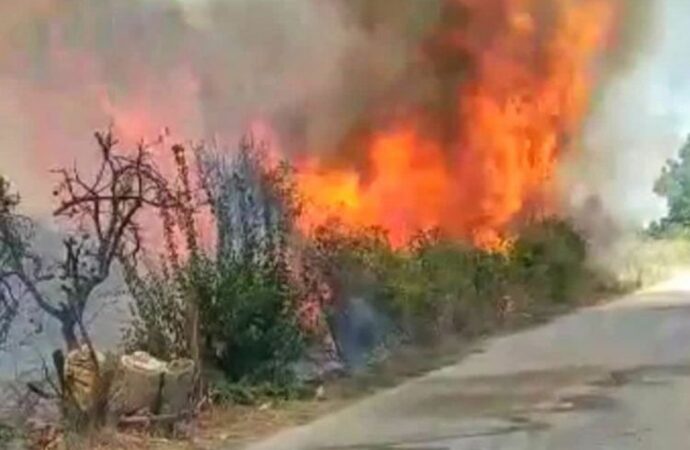 Φωτιά στη Νέα Κίο Αργολίδας