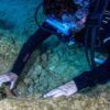 Έρχονται τα πρώτα υποβρύχια μουσεία στην Ελλάδα – Πού θα ανοίξουν