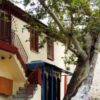 Θεσσαλονίκη: Ένας πλάτανος 828 ετών!