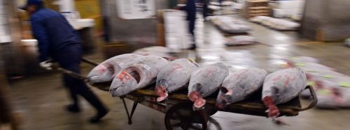 Η Συμφωνία του Παρισιού για το Κλίμα δεν επαρκεί για την προστασία των ωκεανών