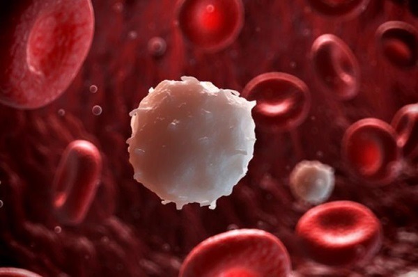 Θεαματικά αποτελέσματα από τη νέα ανοσοθεραπεία κατά του καρκίνου του αίματος
