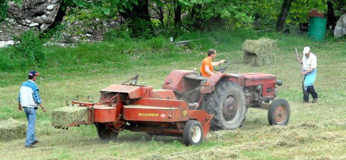 Ο ΕΛΓΑ πληρώνει αύριο αποζημιώσεις σε 8.825 παραγωγούς