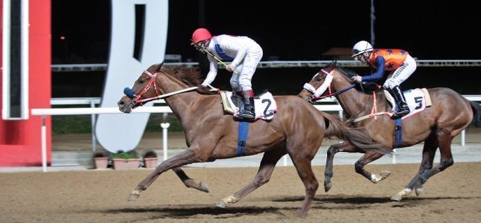 Σπάει επιτέλους το απόστημα της ΦΕΕ που ταλανίζει 3.000 οικογένειες στον ιππόδρομο