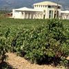 Αναβαθμίζεται το πλαίσιο λειτουργίας των οινοτουριστικών επιχειρήσεων