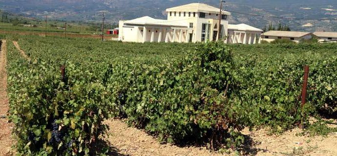 Αναβαθμίζεται το πλαίσιο λειτουργίας των οινοτουριστικών επιχειρήσεων