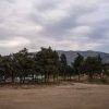 Παραίτηση της  Eκτελεστικής Eπιτροπής του Ταμείου Χρηματοπιστωτικής Σταθερότητας