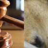 Ο απαγωγέας στην Κύπρο είπε πως είχε οικονομικά προβλήματα και θα ζητούσε λύτρα