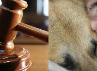Ο απαγωγέας στην Κύπρο είπε πως είχε οικονομικά προβλήματα και θα ζητούσε λύτρα