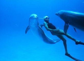 «Dolphin man»: η συναρπαστική ιστορία του θρυλικού δύτη Ζακ Μαγιόλ