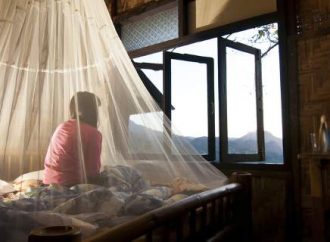 Γιατί τα κουνούπια τσιμπούν περισσότερο όσους πίνουν πολύ μπύρα -Ειδικός εξηγεί [εικόνες]