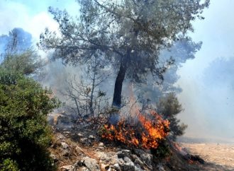 Πυρκαγιά σε δασική έκταση στα Μέγαρα