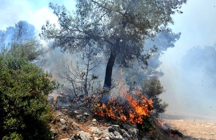 Πυρκαγιά σε δασική έκταση στα Μέγαρα