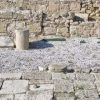 Κύπρος:Μοναδικά ευρήματα απο τον αρχαιότερο οικισμό που βγήκε στο φως