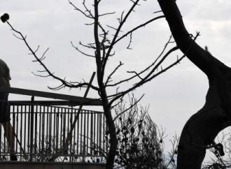 Ο Μητσοτάκης ζητά συζήτηση στην Βουλή για την Παιδεία