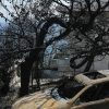 Ο Πρόεδρος της Δημοκρατίας Προκόπης Παυλόπουλος πήγε στο Μάτι