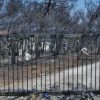 Συγκέντρωση διαμαρτυρίας πραγματοποιούν σήμερα οι πυρόπληκτοι σε Βουλή και Περιφέρεια