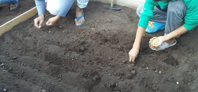 Στο αυτόφωρο παραπέμφθηκε το μέλος του Ρουβίκωνα για την επίθεση στην τουρκική πρεσβεία
