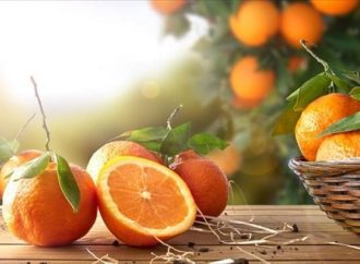 Ιταλία: Τα πορτοκάλια της μαφίας!Έμμεση στήριξη της μαφίας;