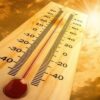 Θερμός χειμώνας: Ρεκόρ ζέστης καταγράφηκε τον Γενάρη