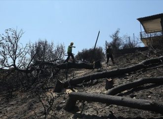 Γραφείο Προϋπολογισμού: Μάνδρα και Μάτι υποδηλώνουν αδύναμο κράτος