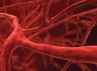 Δημιουργήθηκαν για πρώτη φορά στο εργαστήριο τέλεια ανθρώπινα αιμοφόρα αγγεία