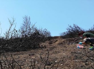 Αναγνωστοπούλου υπέρ των καταληψιών: «Ξαφνικά μας πείραξαν οι καταλήψεις;»