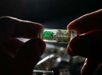 Η πρώτη κάψουλα με μεταλλαγμένα βακτήρια που καταπίνεται και ανιχνεύει την αιμορραγία στο στομάχι