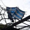 Στοιχεία ΣΟΚ για τις πυρκαγιές: Πόσα από τα 86.000 καμένα στρέμματα βρίσκονται σε Μάτι και Κινέτα
