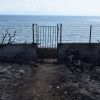 Φωτιές Αττική: Αίτημα Κοντονή να στραφούν οι έρευνες και στα αυθαίρετα