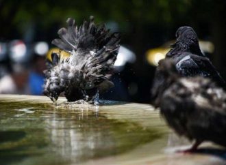 Καιρός: Έρχονται 40αρια το Σαββατοκύριακο