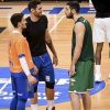 ΕΣΑΚΕ: Μείον έξι στον Παναθηναϊκό, με Ολυμπιακό στα playoffs