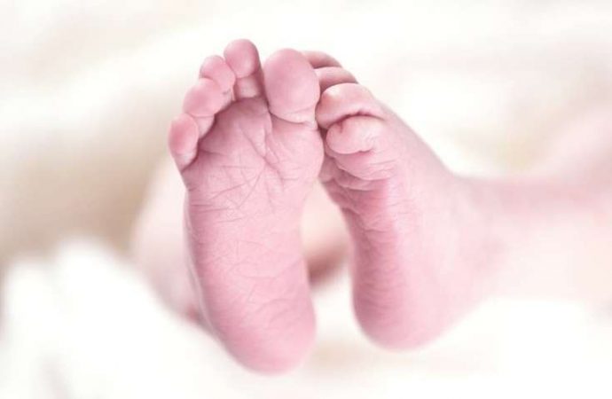 Σκύλος έσωσε βρέφος – Η μητέρα του το είχε θάψει ζωντανό