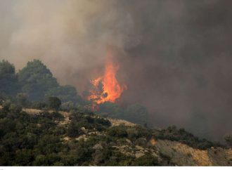 Χαλκιδική: Υπό έλεγχο η φωτιά στο Καλαμίτσι