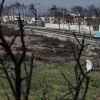 Μάτι: Σημειωτόν η αποκατάσταση – Παραμένουν αμίαντος κι αποκαΐδια