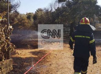Σε ύφεση τα πύρινα μέτωπα σε Βαρνάβα και Ραφήνα