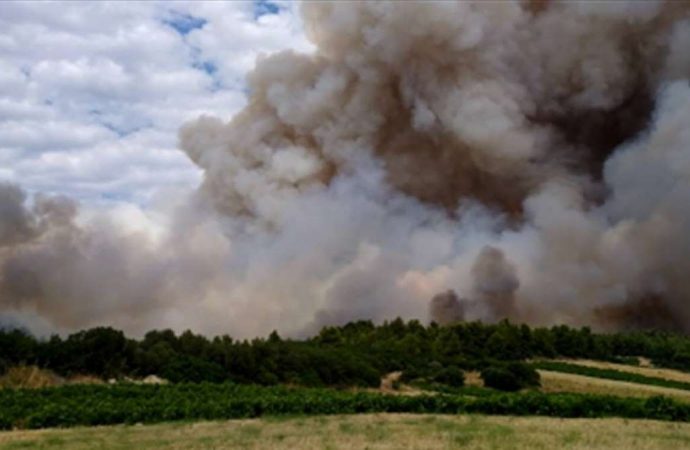 Φωτιά ΤΩΡΑ: Όλες οι δυνάμεις στην Τανάγρα – Μάχη να μη φτάσουν οι φλόγες στο δάσος των Δερβενοχωρίων