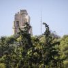 Δολοφονία στου Φιλοππάπου: “Ο Νίκος τους παρακαλούσε να μην τον σπρώχνουν προς τον γκρεμό”